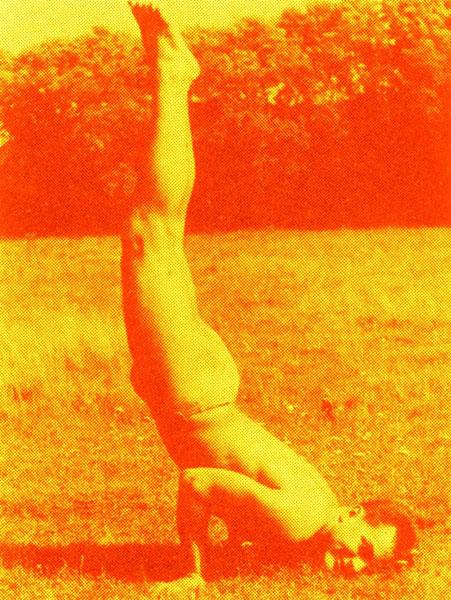 Dean SAMESHIMA YMAP (Healing#1), 2005