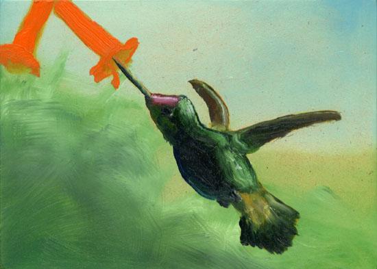 Dan ATTOE Hummingbird (2003)