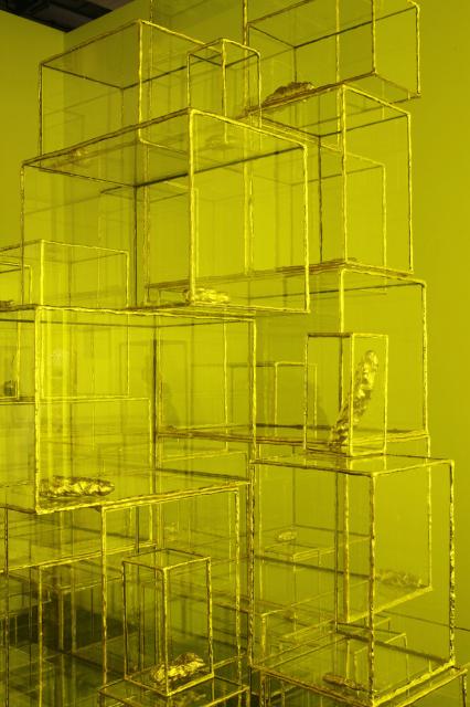 Terence KOH Untitled (vitrines), 2006