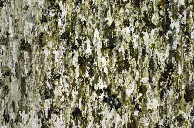 Dan COLEN Birdshit, 2007 (detail)