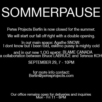 Announcement Poster 