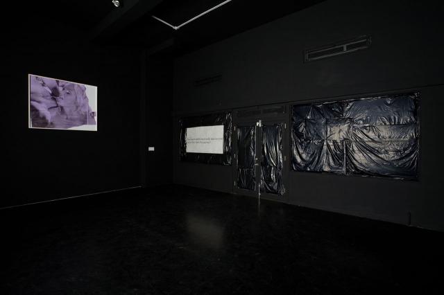 Dash SNOW Installation View 3