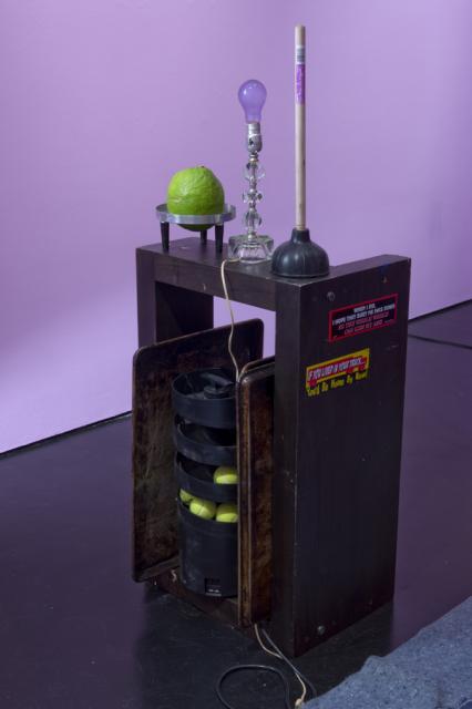 Agathe SNOW The Cabbage Patch, 2008