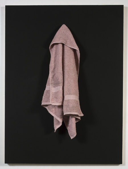 Paul LEE Untitled (towel hook painting), 2008