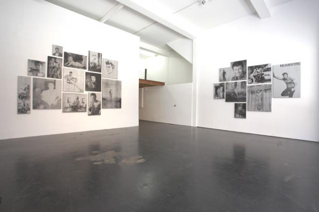 Dean SAMESHIMA Installation View, 2008
