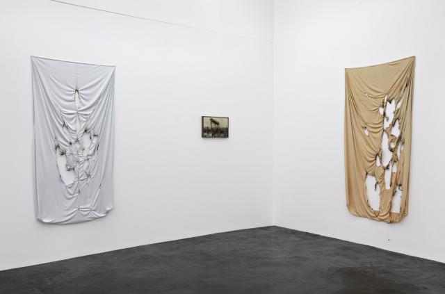 Amie DICKE Installation View, 2008