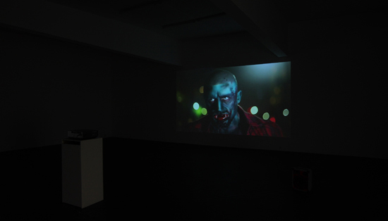 Bruce LaBruce Installation View, 2010