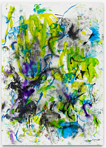 Leo GABIN Burger King Brawl, 2011
