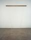 Selected Work From: Carol Bove