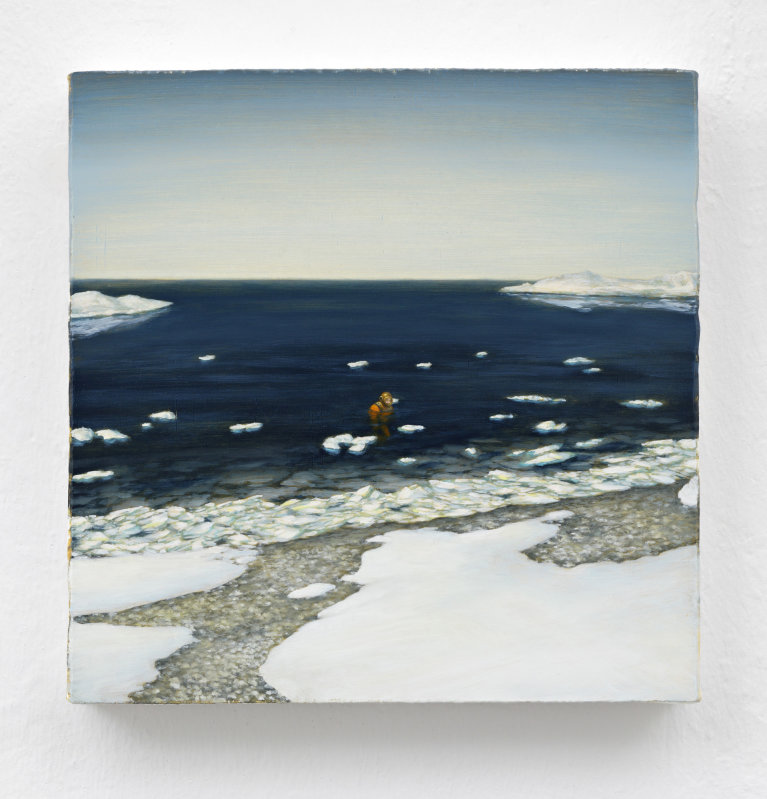Icy Shore