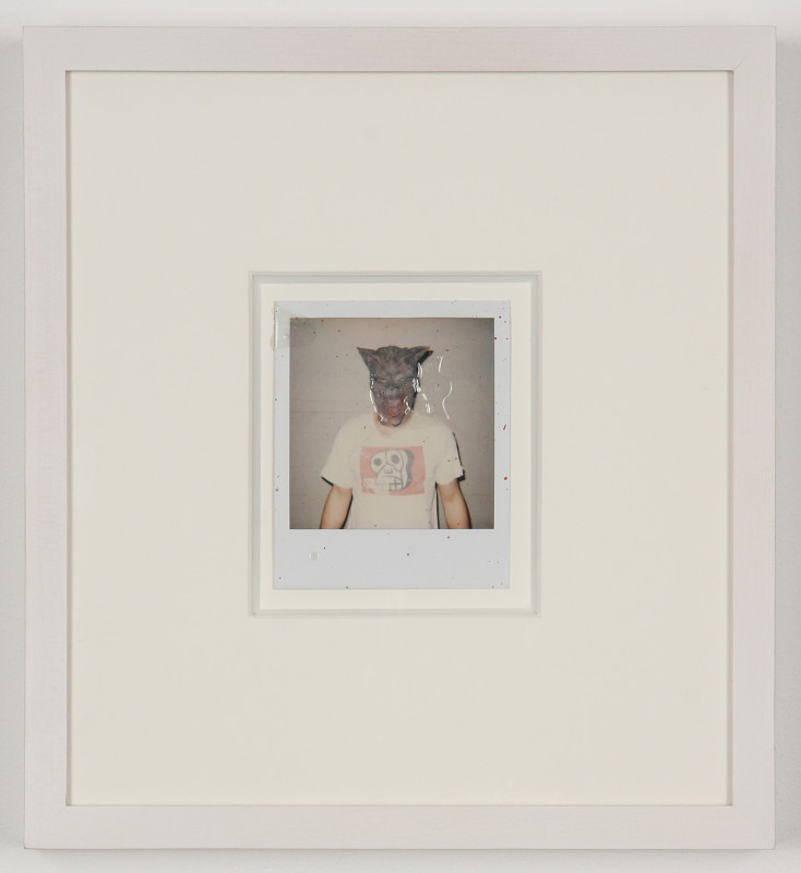 Untitled (Dicknose Polaroids) (detail) Untitled (Dicknose Polaroids) (detail)