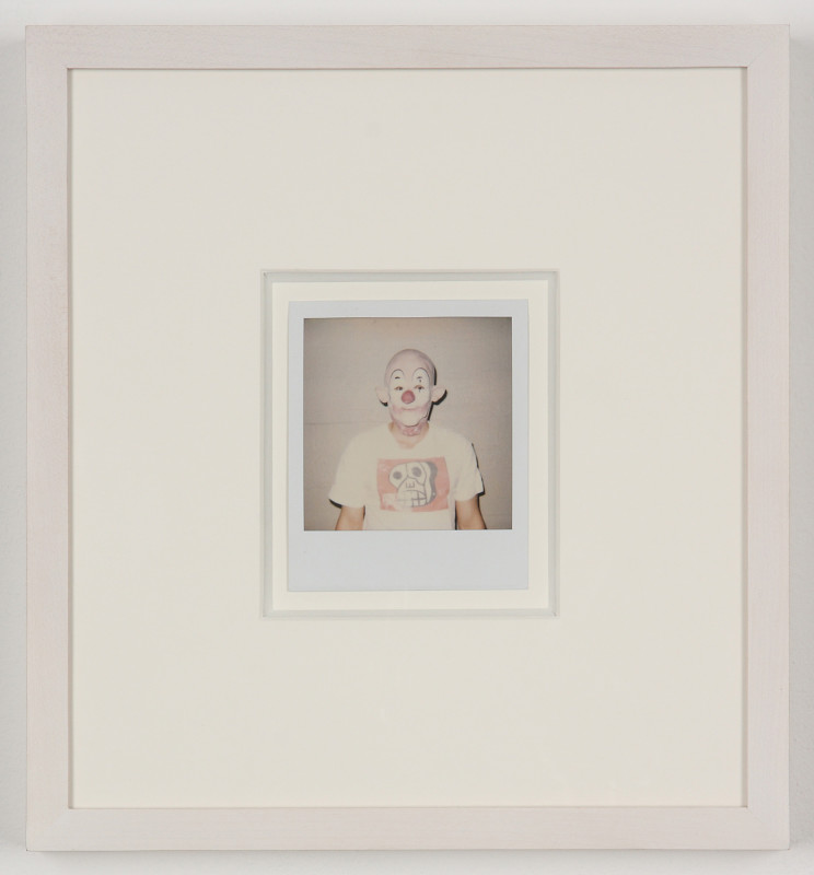 Untitled (Dicknose Polaroids) (detail) Untitled (Dicknose Polaroids) (detail)