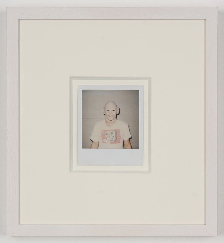 Untitled (Dicknose Polaroids) (detail) Untitled (Dicknose Polaroids) (detail)