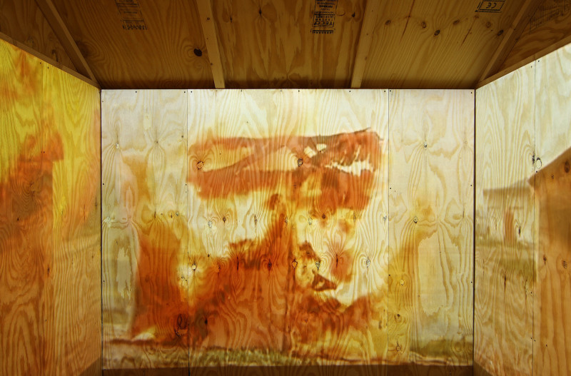 Untitled (Burning House) (detail) Untitled (Burning House) (detail)
