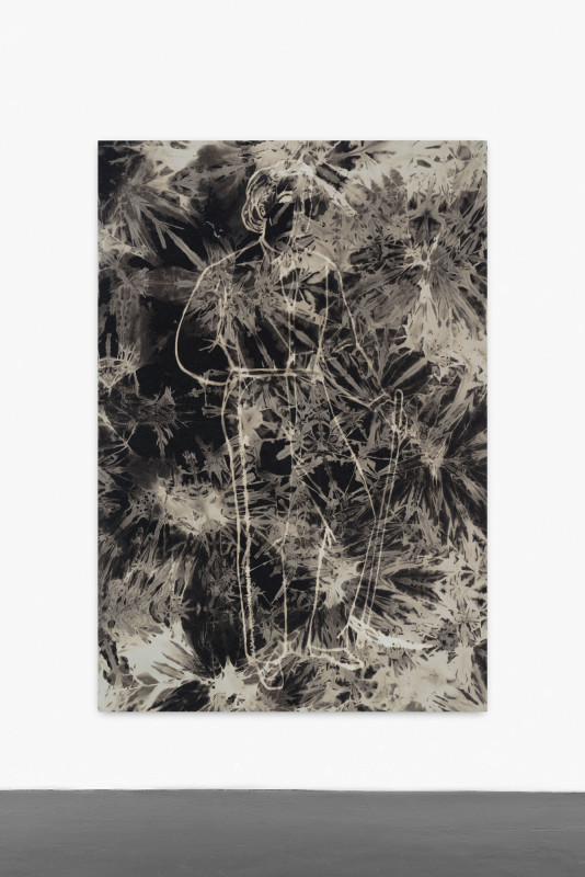 Mike Bouchet, Andro Exotic (front), 2015