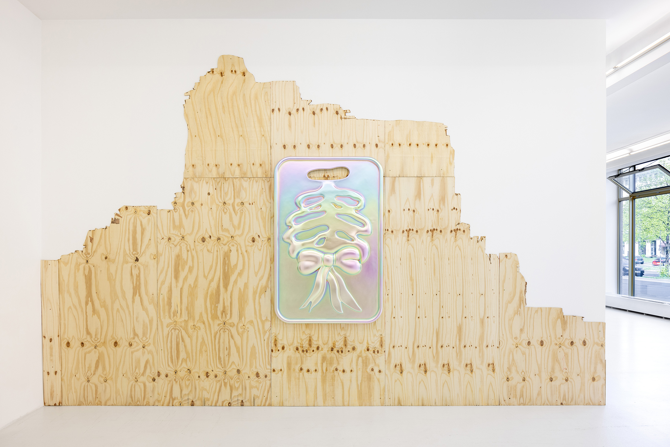 Shuang Li, nobody’s home, 2022 (installation view) Shuang Li, nobody’s home, 2022 (installation view)